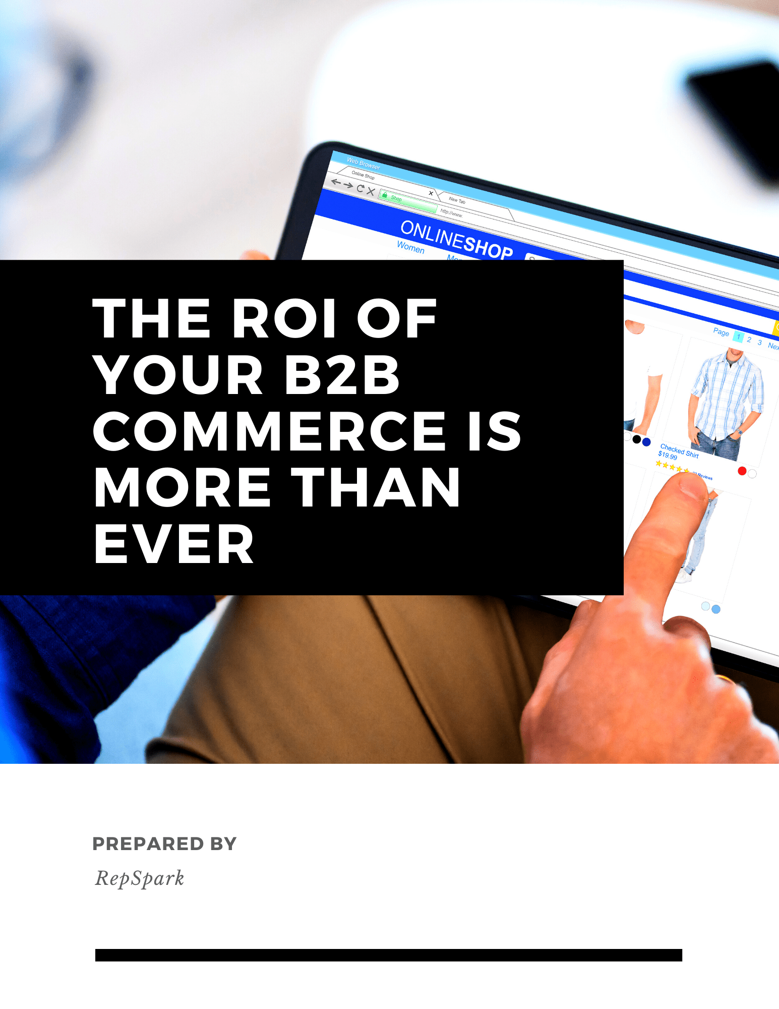 EL- The ROI of your B2B Commerce is more than ever 